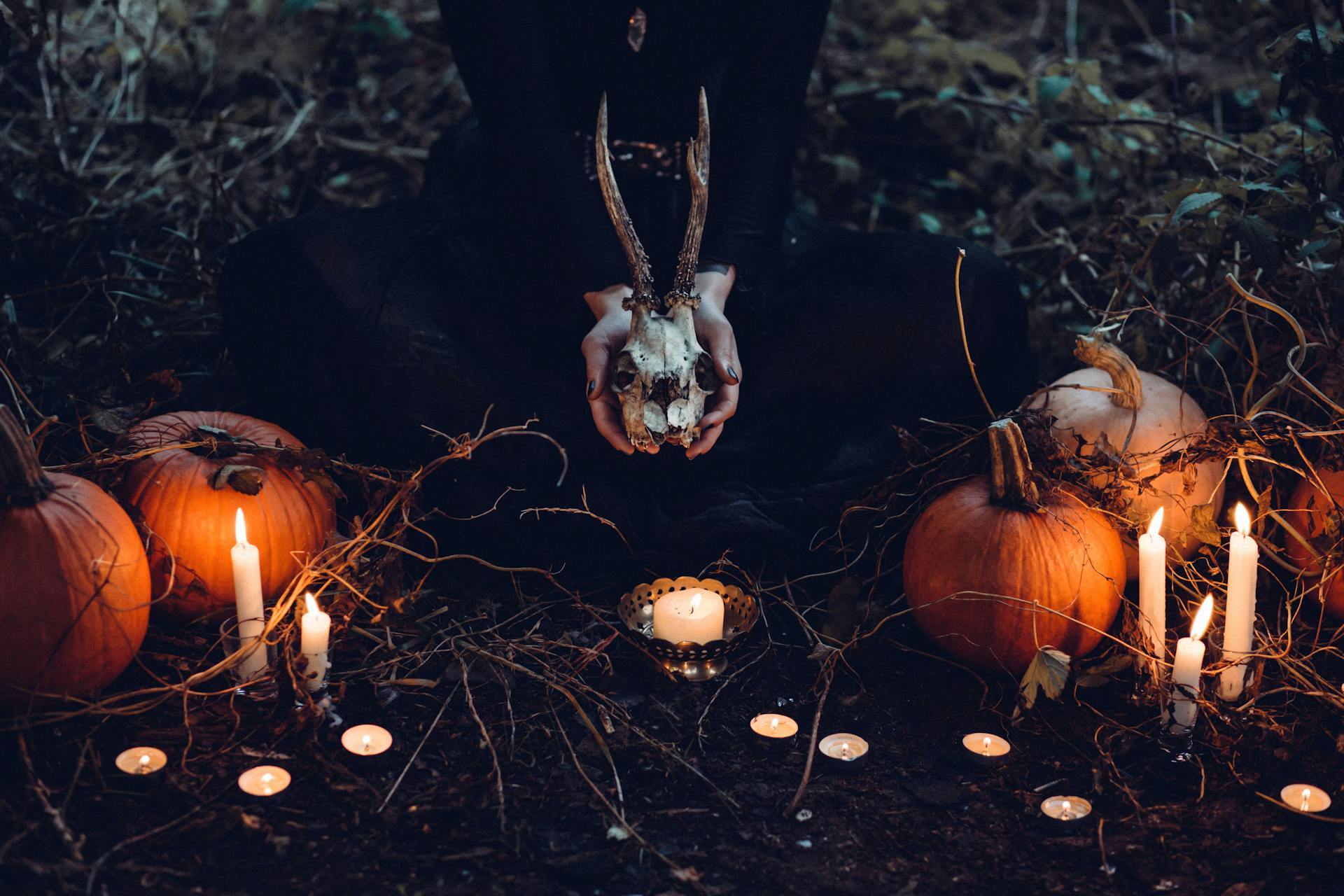 The Hauntings begin at Midnight Scream - A safehouse for horror fans and creators